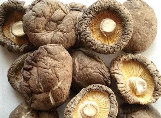 Yunnan Shiitake Mushroom